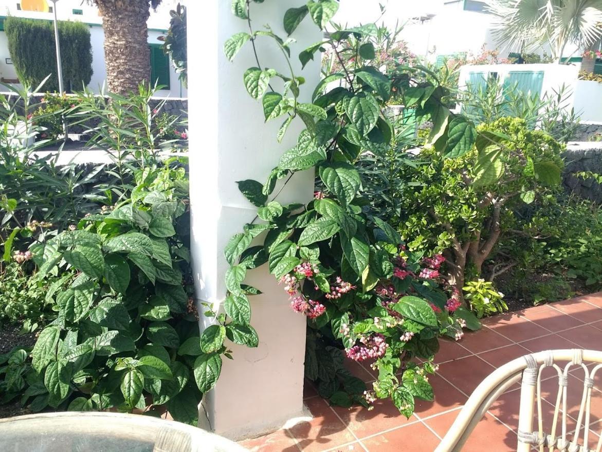 コスタ・テギセ Casa Maracuyaヴィラ エクステリア 写真