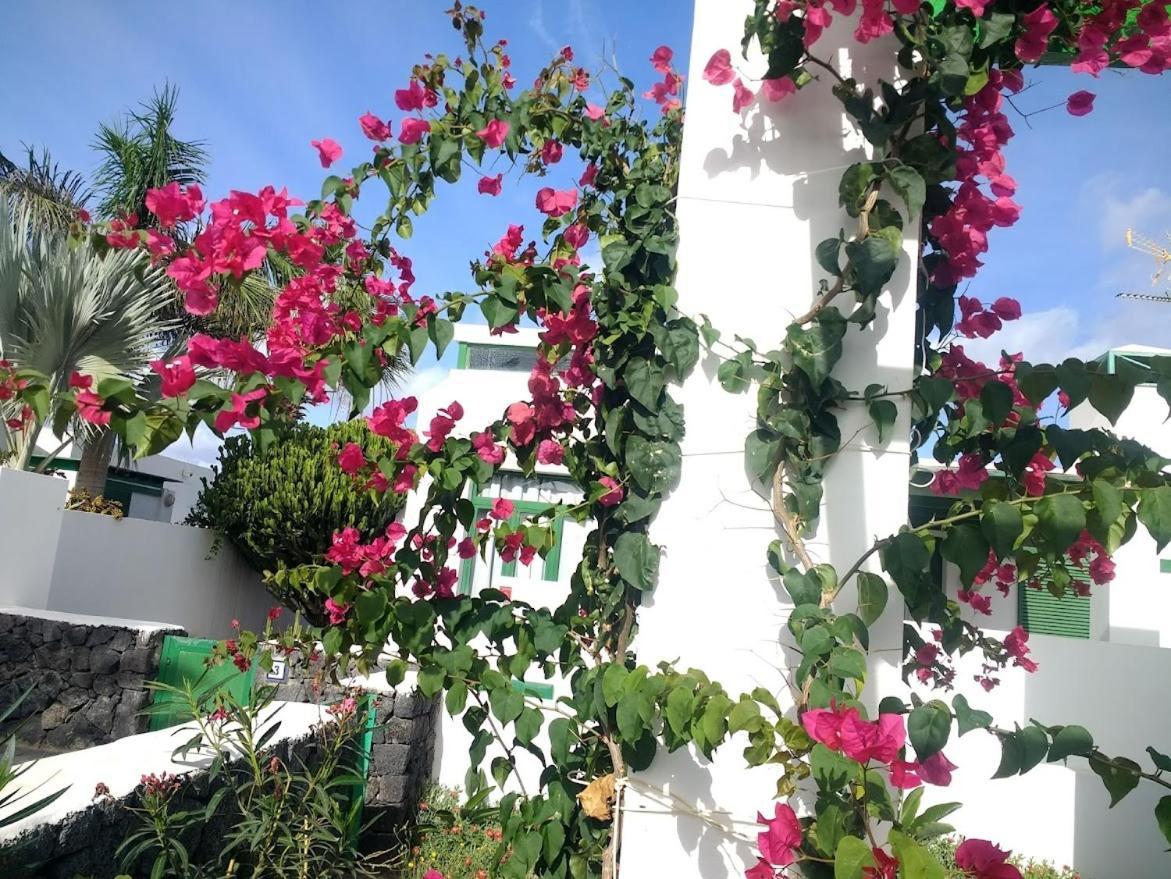 コスタ・テギセ Casa Maracuyaヴィラ エクステリア 写真