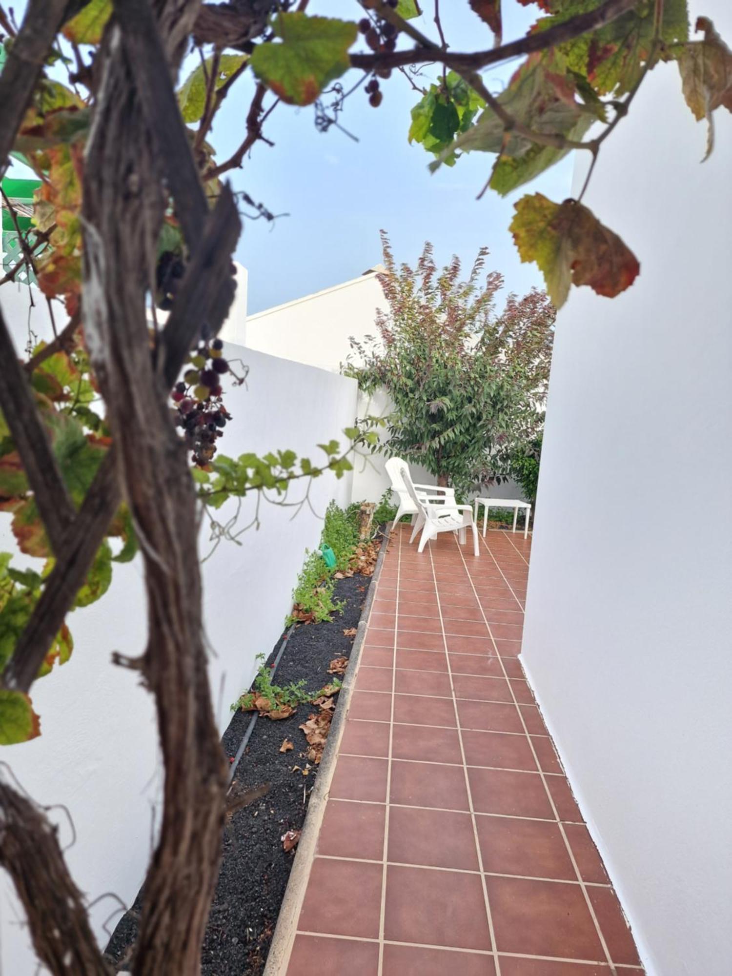 コスタ・テギセ Casa Maracuyaヴィラ エクステリア 写真