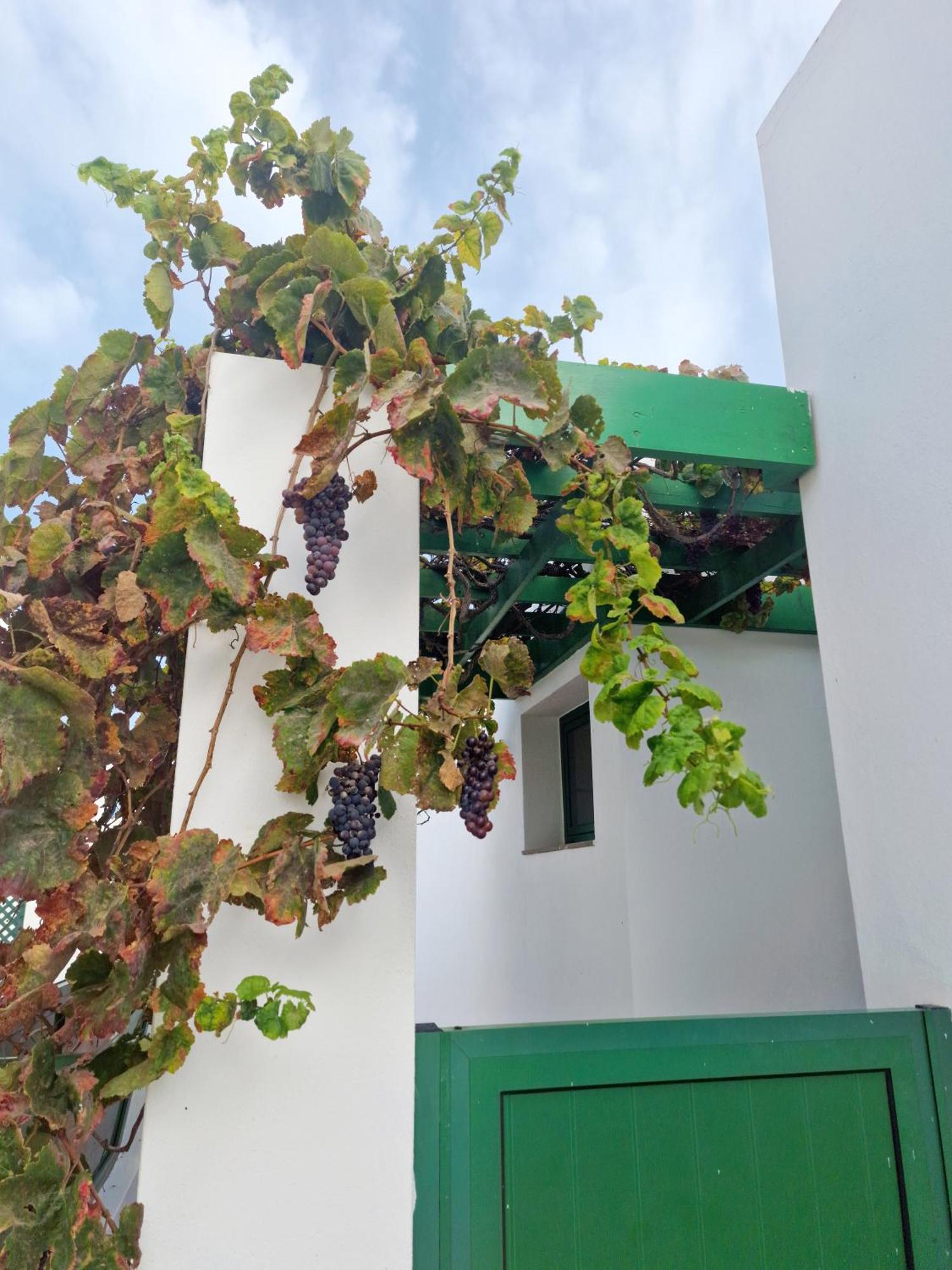 コスタ・テギセ Casa Maracuyaヴィラ エクステリア 写真